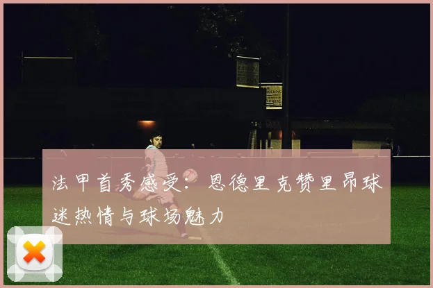 法甲首秀感受：恩德里克赞里昂球迷热情与球场魅力