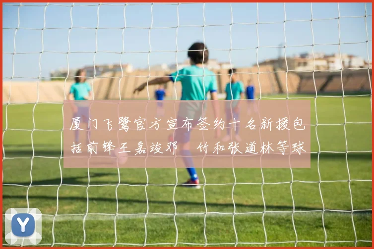厦门飞鹭官方宣布签约十名新援包括前锋王嘉竣邓棽竹和张道林等球员