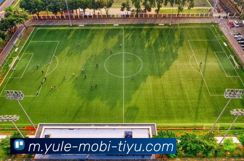 乐鱼体育平台生态图