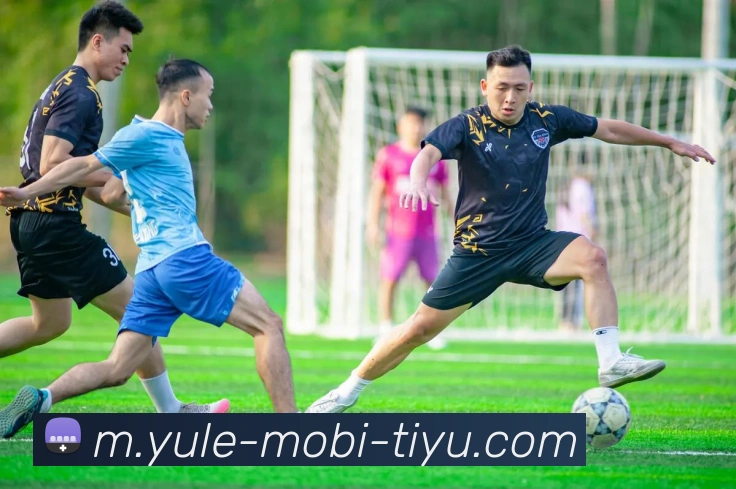 乐鱼体育全站App